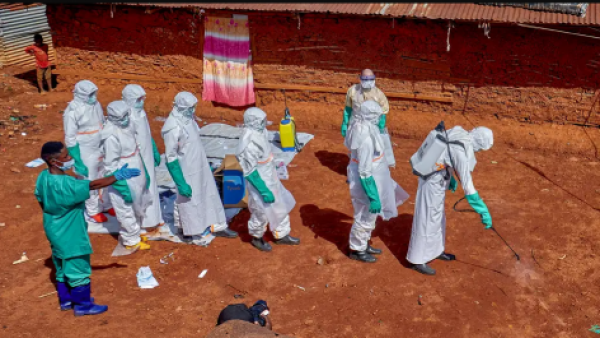 <p>OMS reduce drásticamente los casos sospechosos de ébola</p>OMS reduce drásticamente los casos sospechosos de ébola
