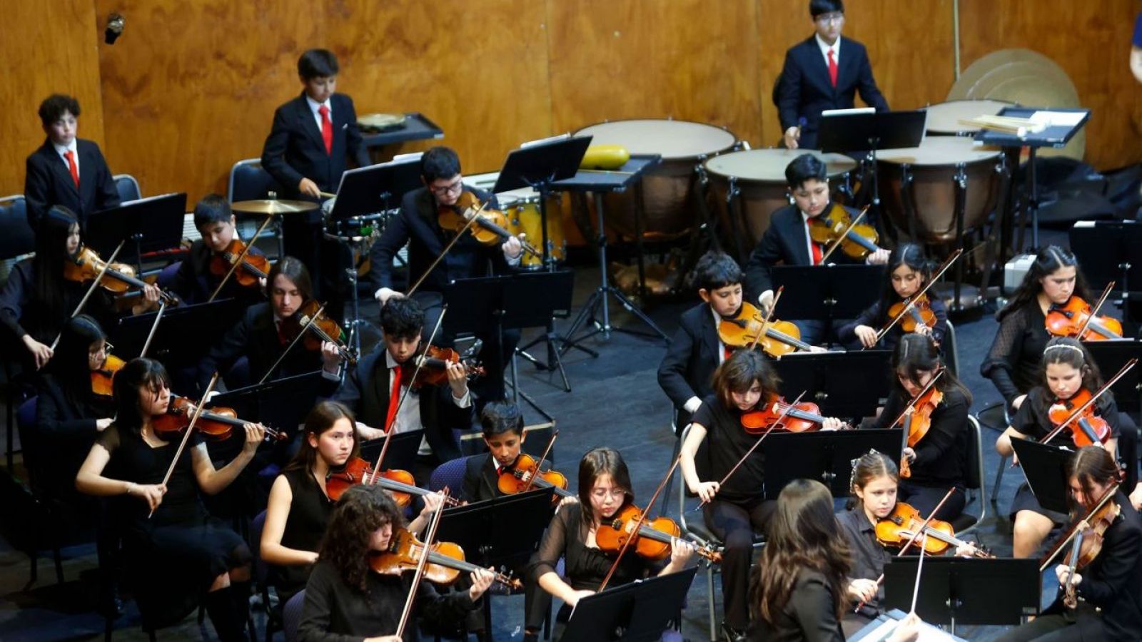 <p>La Fundación de Orquestas Juveniles e Infantiles tendrán un concierto gratuito con obras de Mozart y Beethoven</p>
