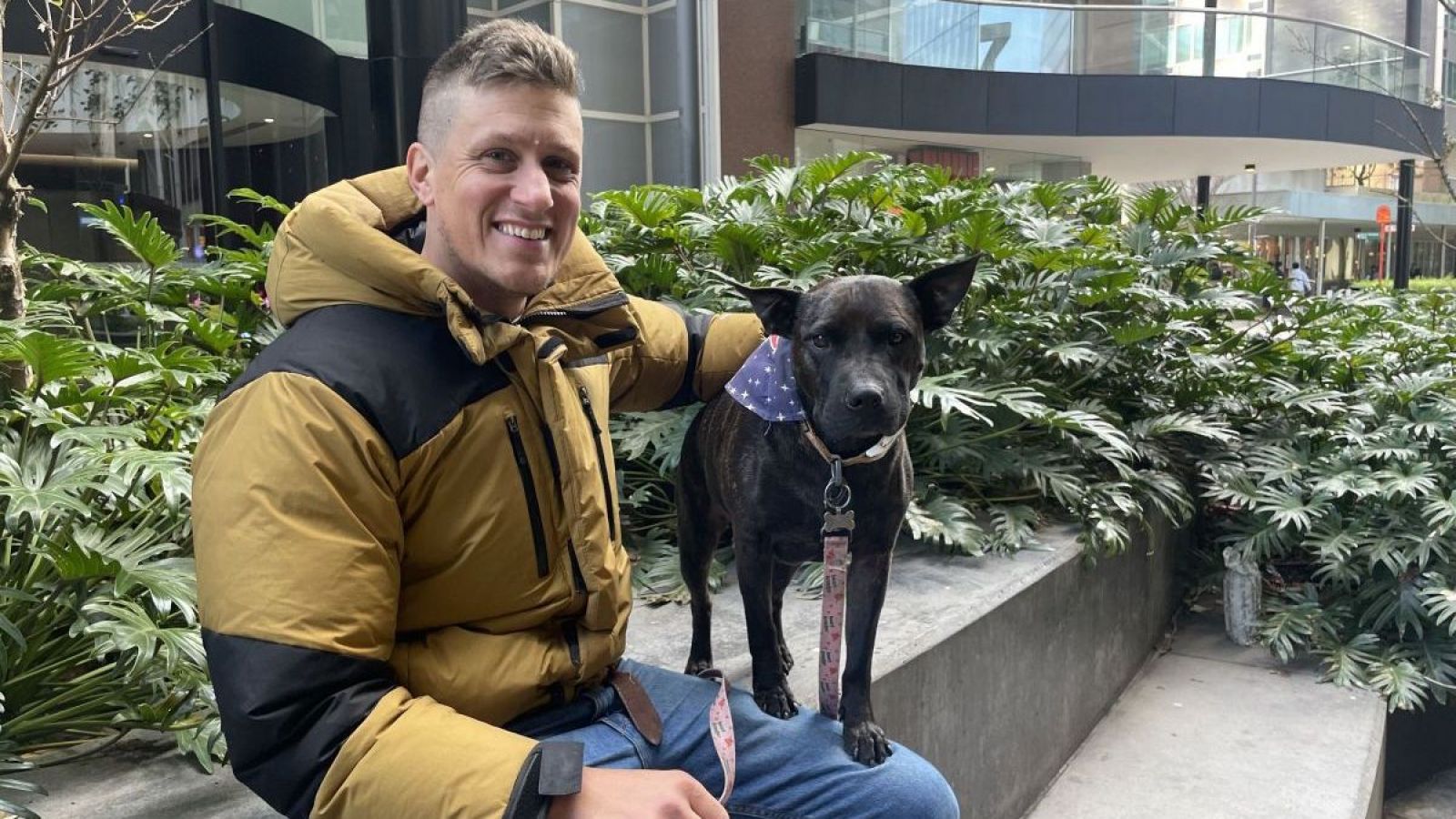 Australiano usó IA para salvar a su perro del cáncer: "Recuperó mucha movilidad y funcionalidad"
