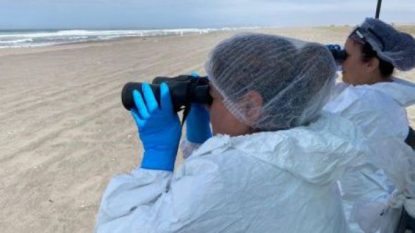 <p>Primer caso de gripe aviar en la macrozona norte: Ya son 11 regiones afectadas</p>Primer caso de gripe aviar en la macrozona norte: Ya son 11 regiones afectadas
