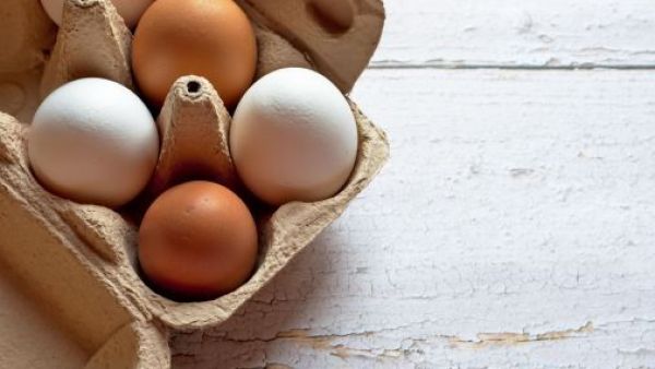 <p>SAG incautó más de 350 mil huevos de gallina de contrabando en Tarapacá</p>SAG incautó más de 350 mil huevos de gallina de contrabando en Tarapacá

