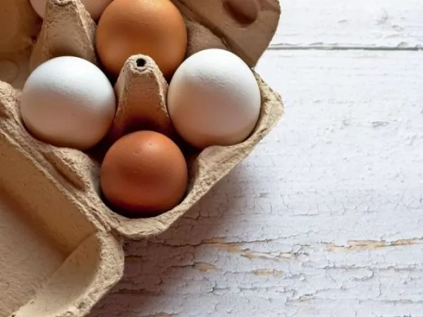 SAG incautó más de 350 mil huevos de gallina de contrabando en Tarapacá