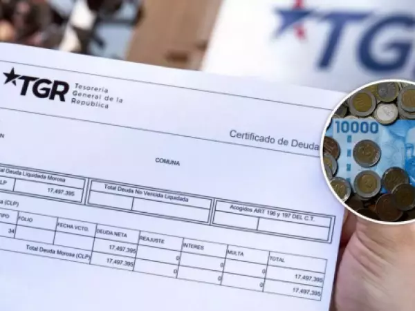 ¿Quiénes arriesgan embargos por el CAE? TGR entrega importante aclaración