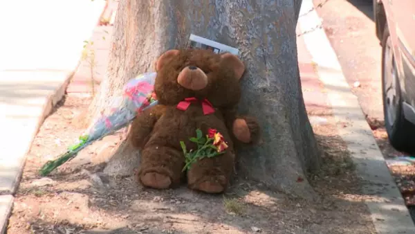 Hombre asesinó a sus hijos mellizos de 10 años y luego se quitó la vida en un cumpleaños familiar