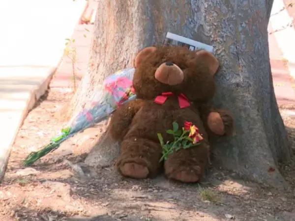 Hombre asesinó a sus hijos mellizos de 10 años y luego se quitó la vida en un cumpleaños familiar