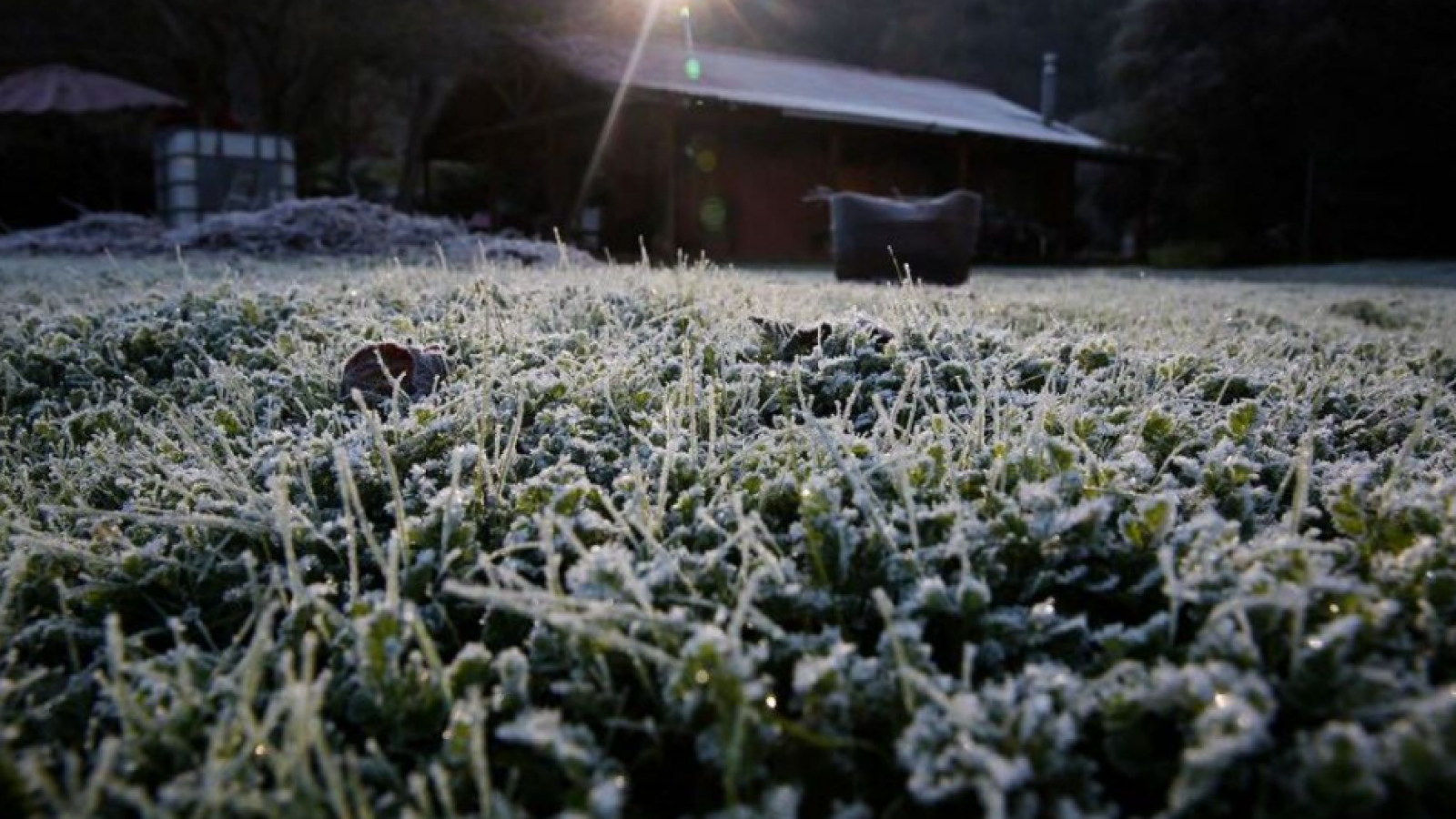 <p>Prepárese para el frío: temperaturas llegarán a -2° este jueves en varias regiones</p>

