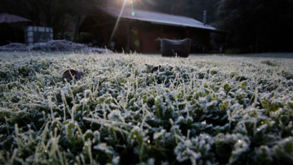 <p>Prepárese para el frío: temperaturas llegarán a -2° este jueves en varias regiones</p>Prepárese para el frío: temperaturas llegarán a -2° este jueves en varias regiones
