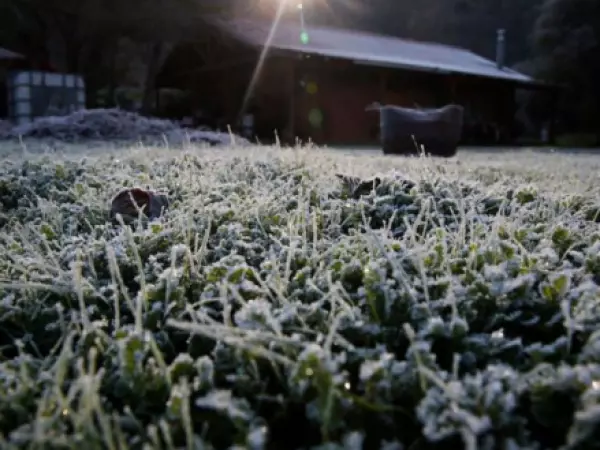 Prepárese para el frío: temperaturas llegarán a -2° este jueves en varias regiones