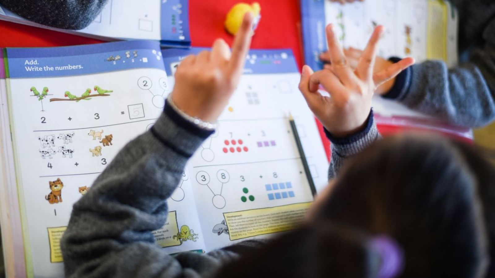 Investigación asegura que aprender un segundo idioma puede fortalecer habilidades en estudiantes neurodivergentes
