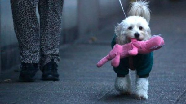 Confirman fecha y hora de la llegada del invierno a Chile
