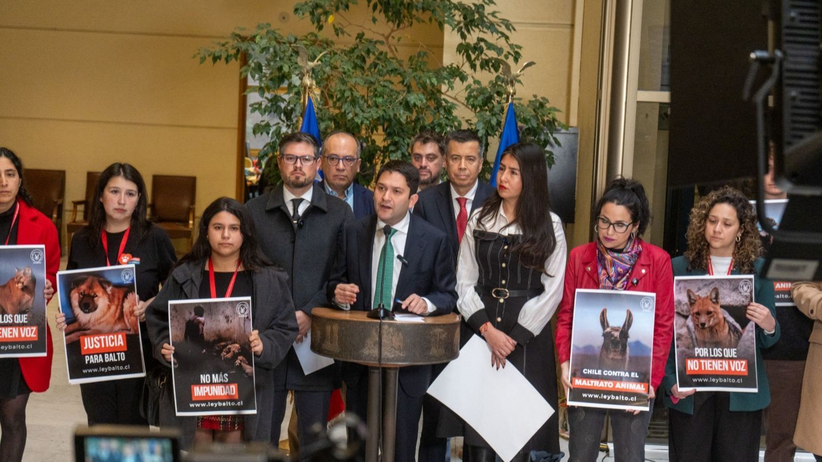 Presentan "Ley Balto": proyecto busca endurecer penas por casos graves de maltrato animal
