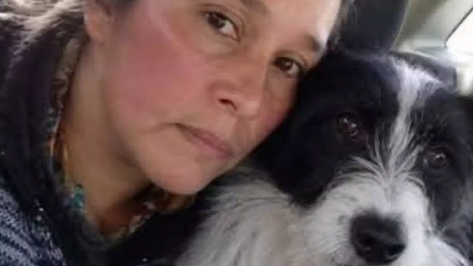 Perrito la ayudó a sobrevivir: Mujer pasó cinco días desaparecida a la intemperie en bosque de Quellón
