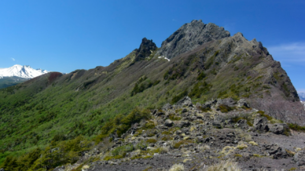 <p>Turista extraviado en el cerro Sarnoso fue rescatado por Carabineros en Puyehue</p>Turista extraviado fue rescatado por Carabineros en Puyehue
