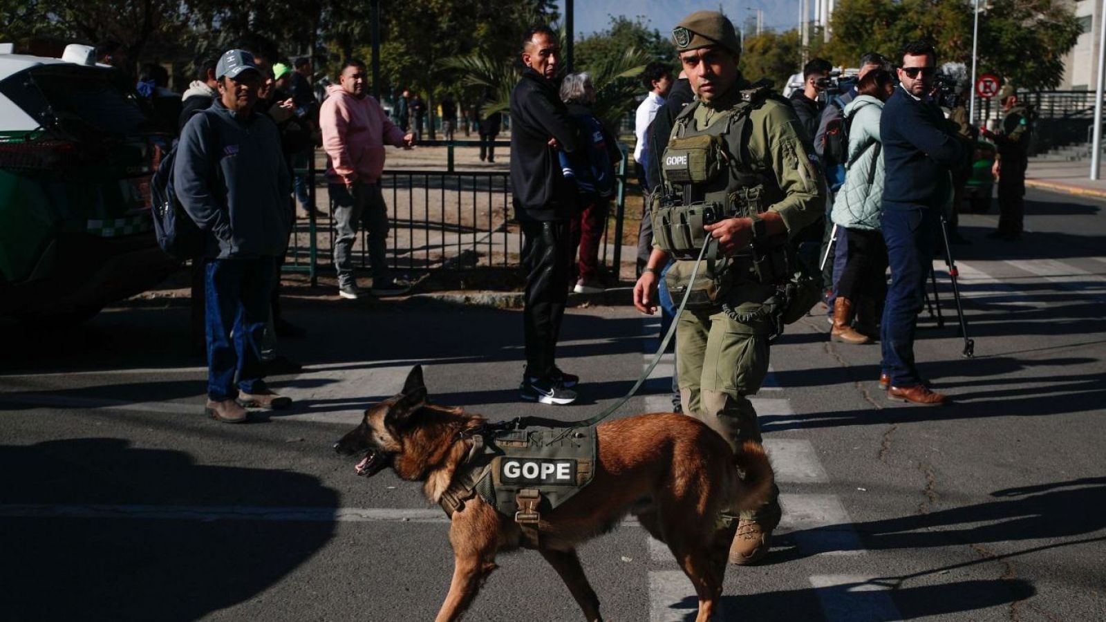 <p>El correo con falsas alarmas que provocó evacuaciones en el Zoológico Nacional y el GAM</p>
