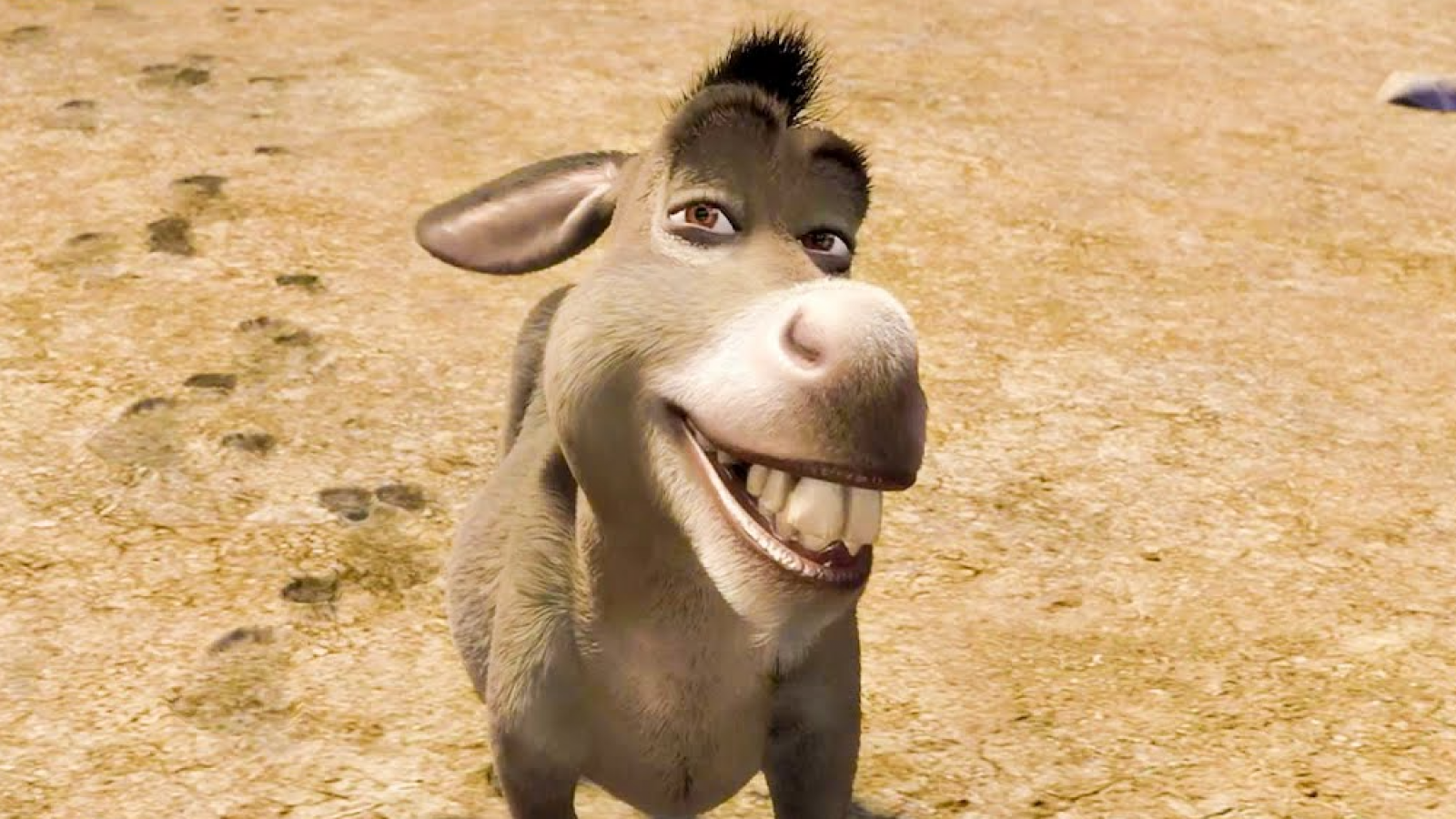 <p>Confirmado: “Burro”, de Shrek, tendrá película propia con fecha de estreno definida</p>
