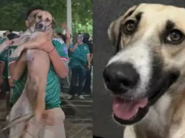 Encuentran a perrita en festejo de hinchas tras un mes desaparecida