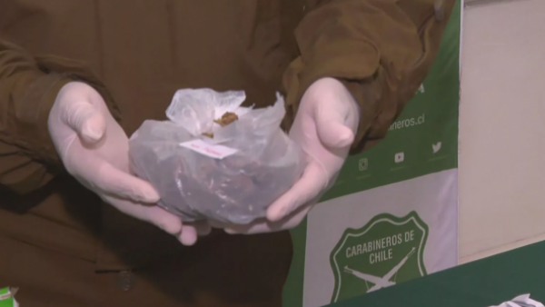Incautan por primera vez la "droga del terror" en Antofagasta
