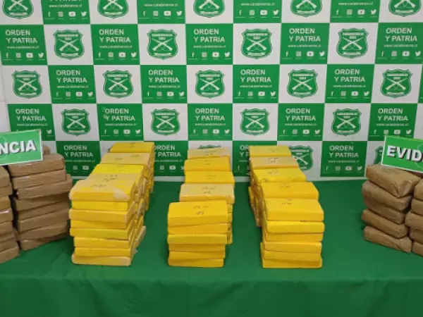 Incautan 231 kilos de cocaína y pasta base durante controles en rutas de Taltal