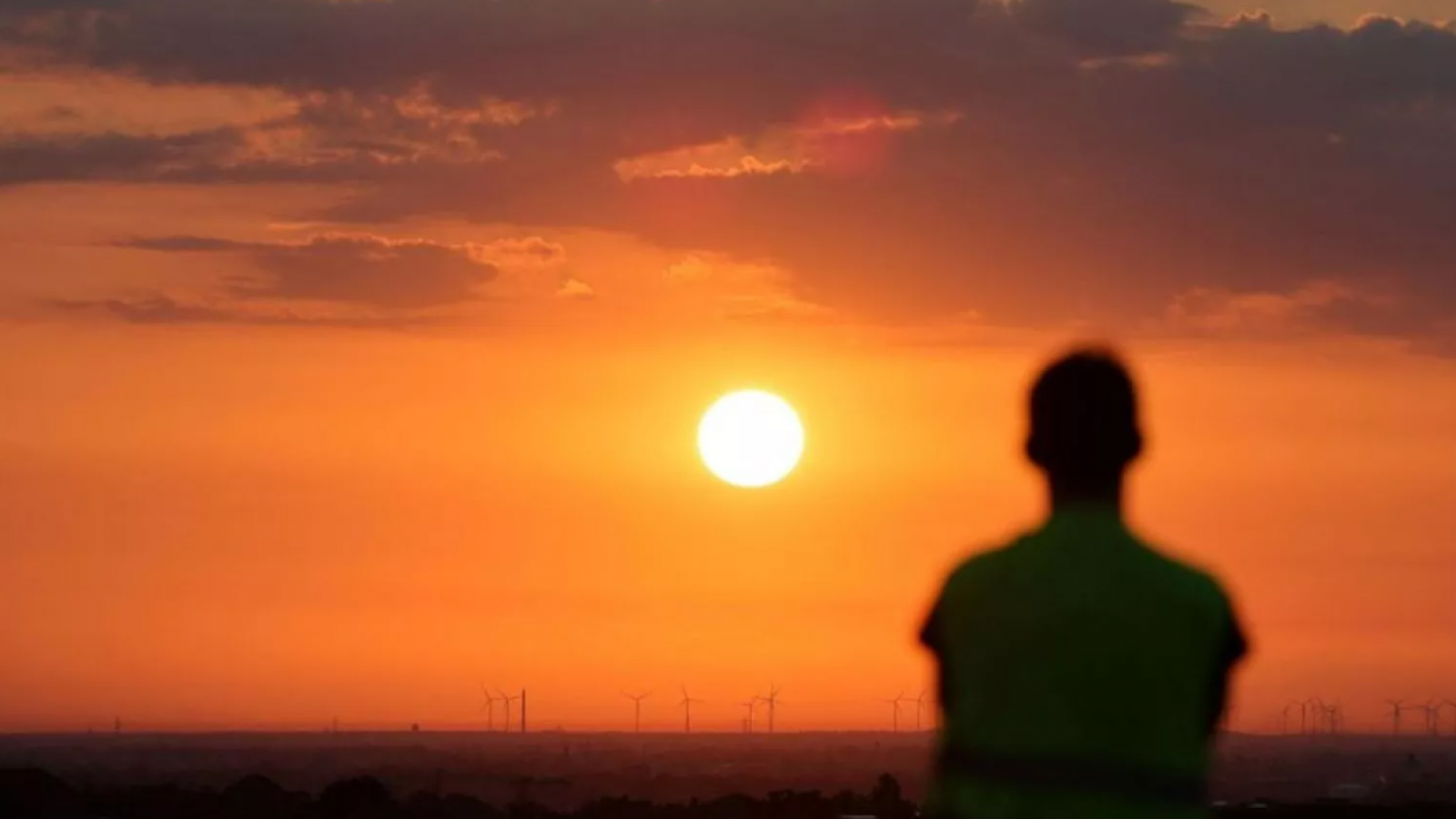 OMS alerta más de 1.300 muertos por la ola de calor en Europa
