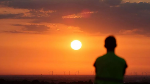 OMS alerta más de 1.300 muertos por la ola de calor en Europa
