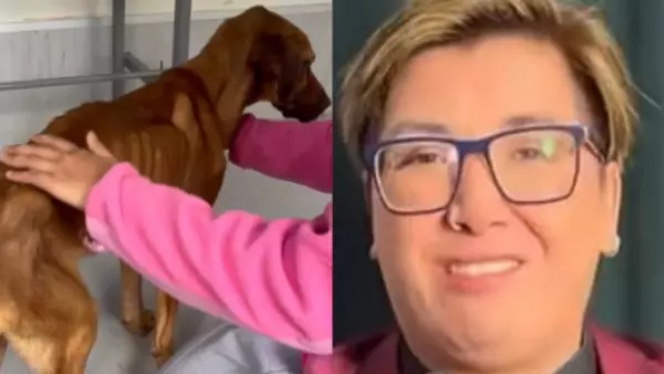 Fundación lleva a la justicia a Manu TV por maltrato animal contra su perro