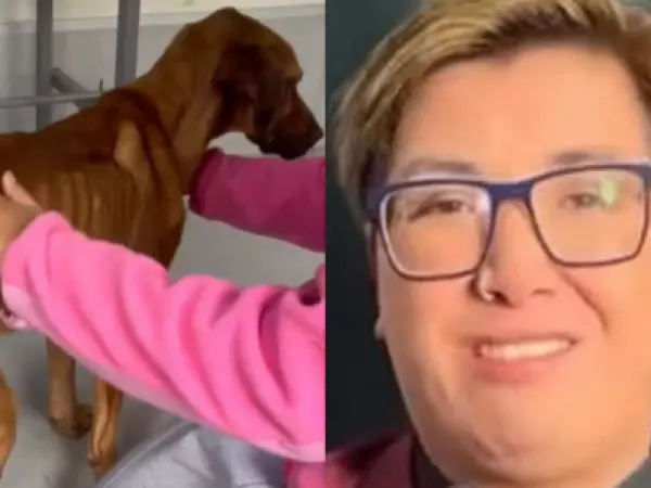 Fundación lleva a la justicia a Manu TV por maltrato animal contra su perro