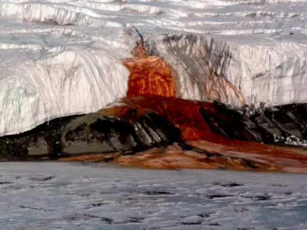 El glaciar que 