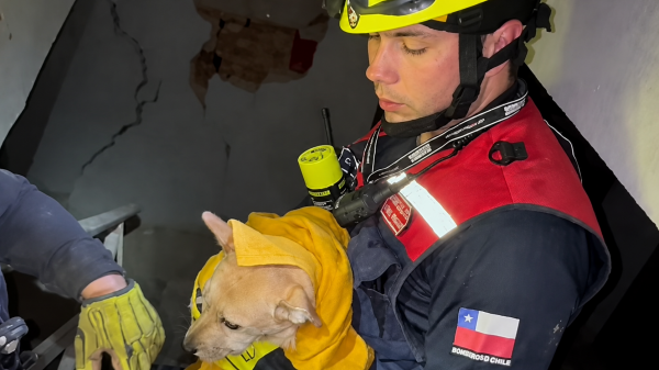 Bomberos de Chile rescata a perrito atrapado en edificio durante labores en Venezuela

