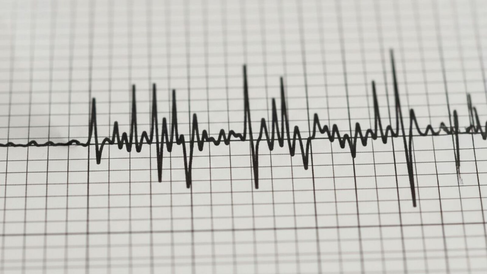Dos sismos sacuden la Región de Coquimbo en poco más de una hora: SHOA descarta tsunami
