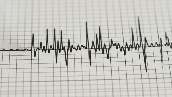 Dos sismos sacuden la Región de Coquimbo en poco más de una hora: SHOA descarta tsunami
