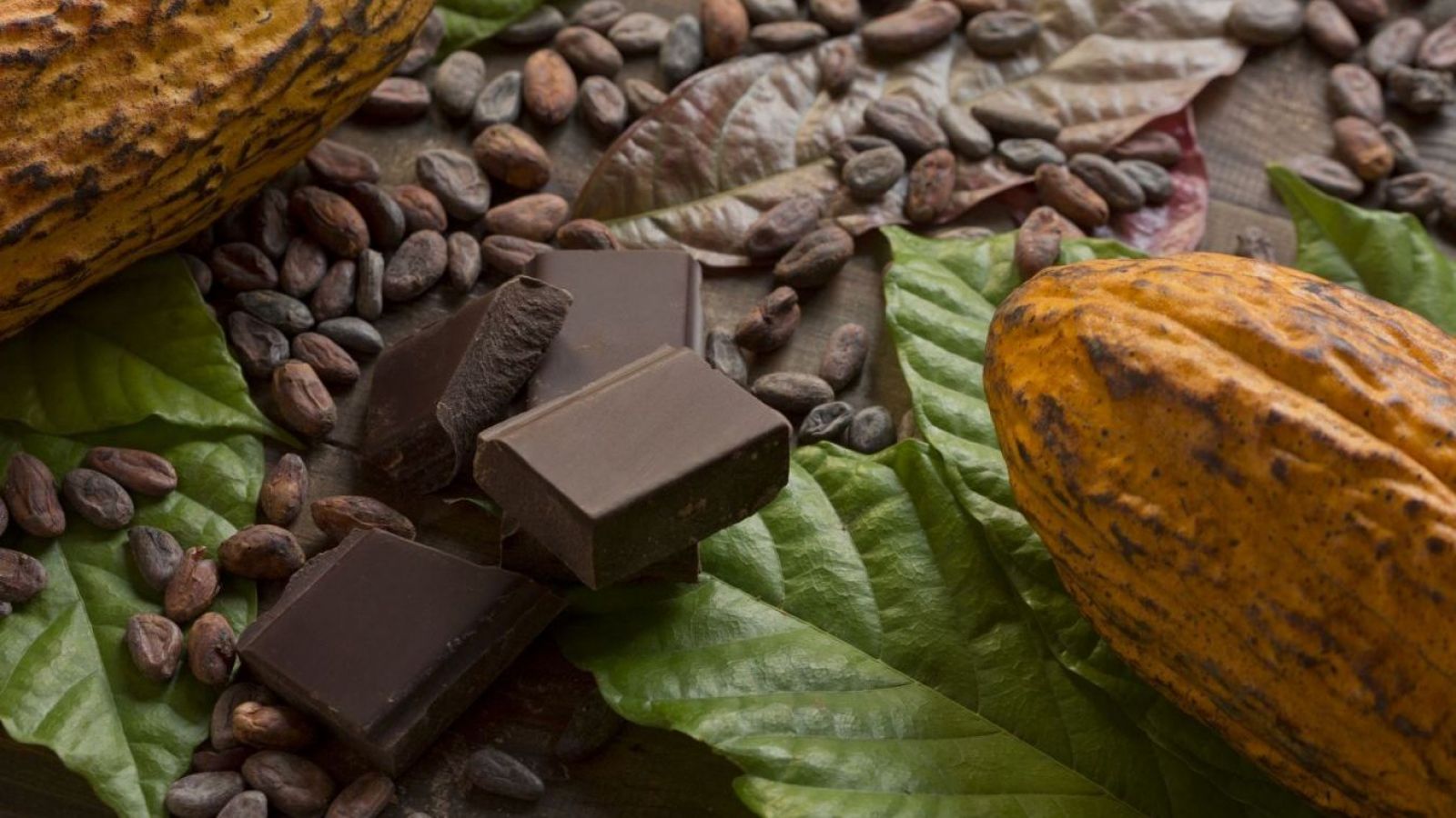 <p>Día Mundial del Cacao</p>
