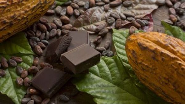 <p>Día Mundial del Cacao</p>Día Mundial del Cacao: Las tendencias que están cambiando la industria del chocolate
