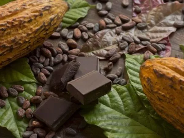 Día Mundial del Cacao