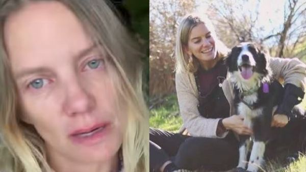 <p>Perro de Javiera Acevedo necesita dadores de sangre</p>