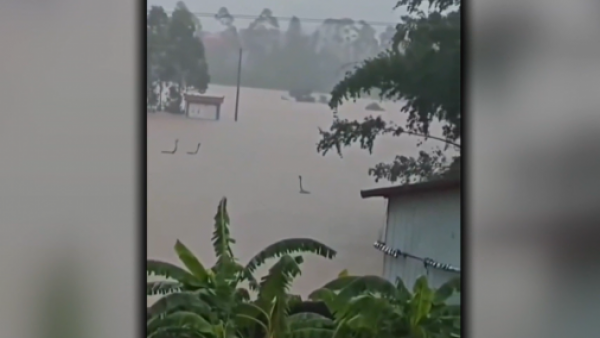 Más de 900 serpientes logran escapar por inundaciones en China