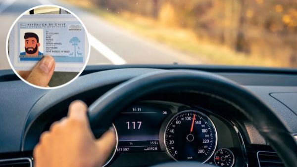 <p>Ley Toretto 2.0 - licencias de conducir </p>