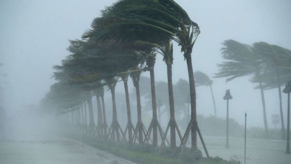 <p>El Niño se intensifica</p>