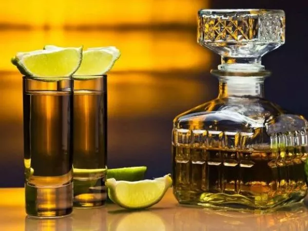 tequila premium Casa Maia