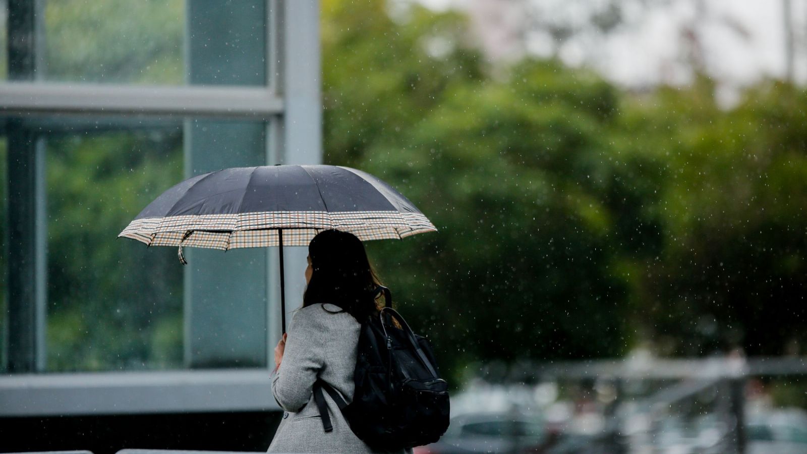 Dos sistemas frontales, viento y nieve: Pronostican casi una semana completa de lluvias en el centro-sur de Chile
