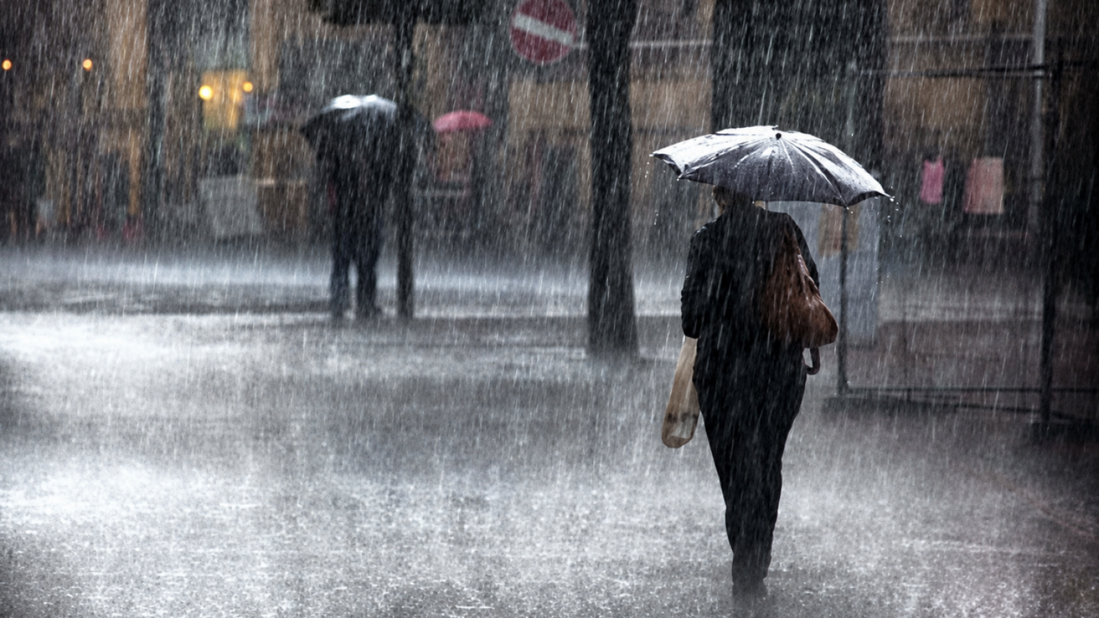 Geógrafa advierte una “tormenta perfecta” en la zona central: Estas son las áreas de mayor riesgo
