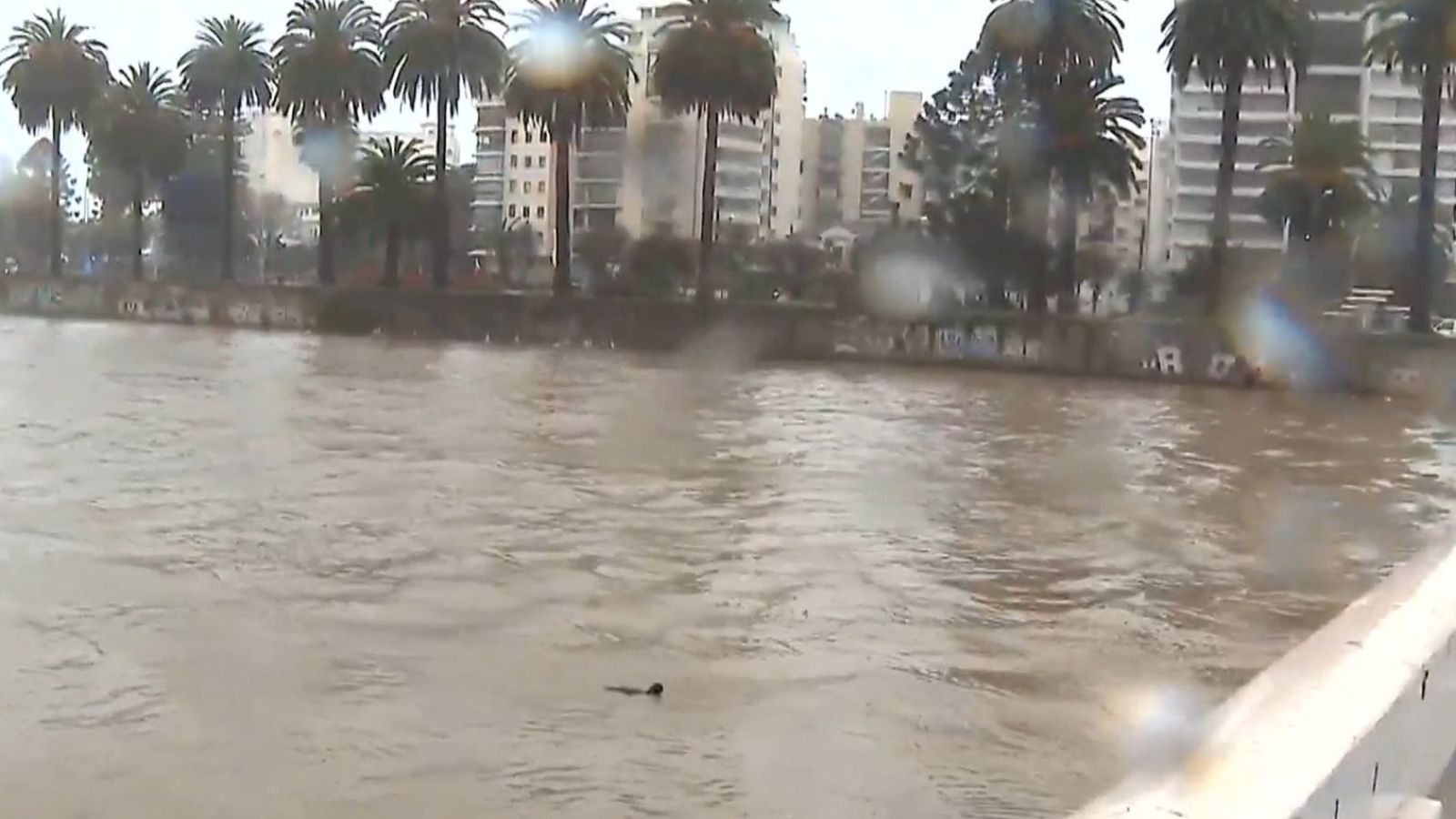 <p>Así está el estero Marga Marga: crecida del caudal activa alerta SAE en Viña del Mar</p>
