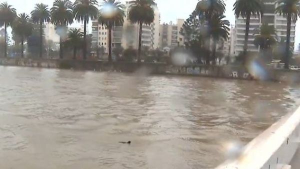 <p>Así está el estero Marga Marga: crecida del caudal activa alerta SAE en Viña del Mar</p>Así está el estero Marga Marga: crecida del caudal activó alerta SAE en Viña del Mar
