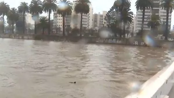 Así está el estero Marga Marga: crecida del caudal activa alerta SAE en Viña del Mar