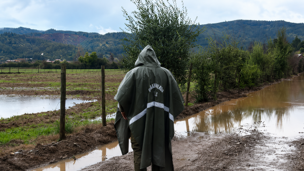 Buscan a trabajador de 64 años desaparecido tras desborde de estero en Curepto
