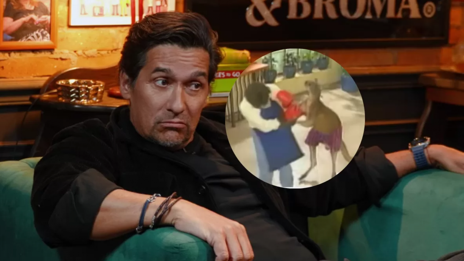 <p>Rafael Araneda reveló detalles de su experiencia con un canguro: "No solamente me mordió"</p>
