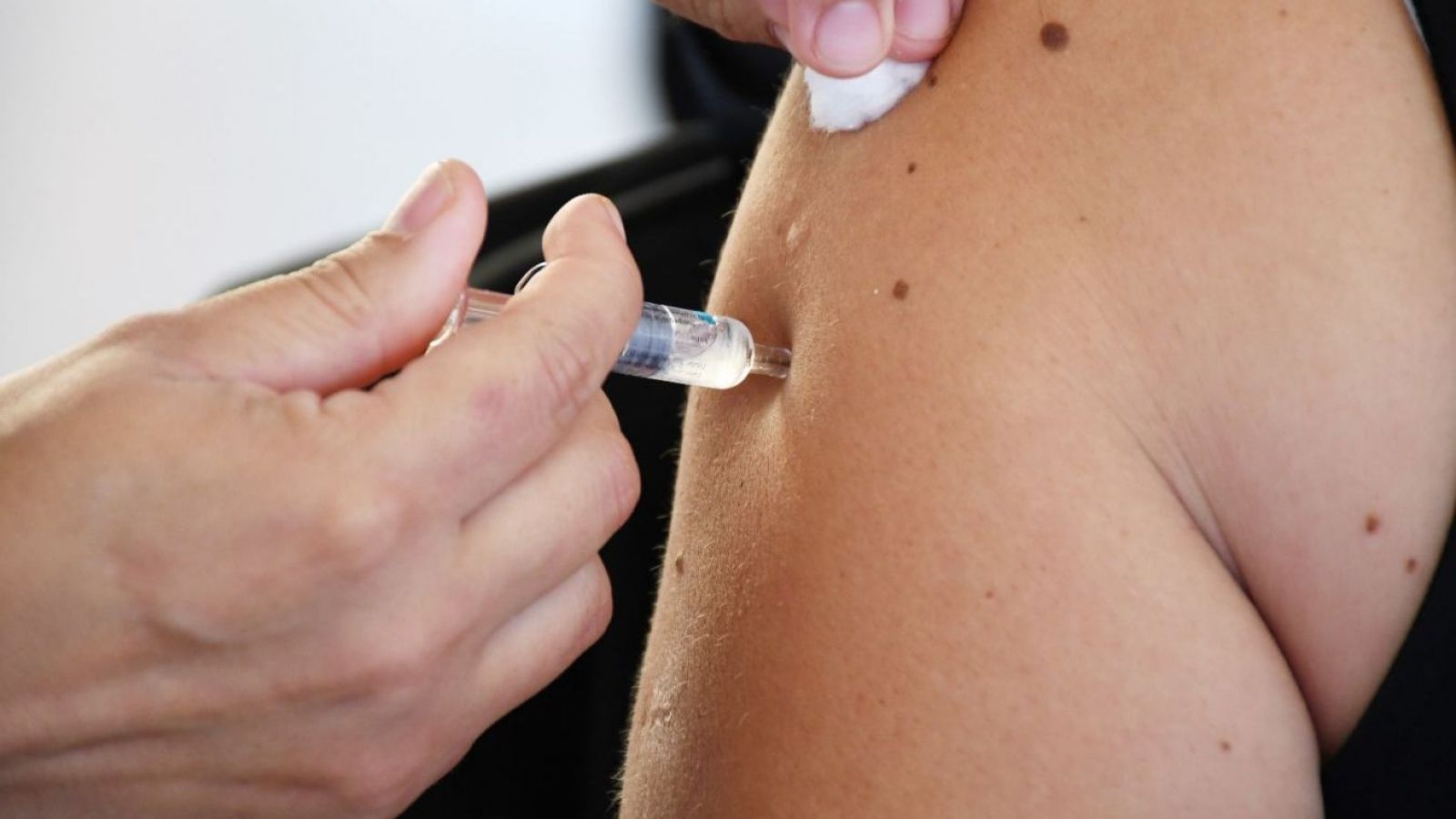 <p>vacunacion hepatitis sistema frontal</p>
