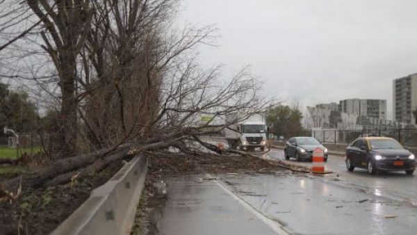 <p>Emiten alerta por fuertes vientos en seis regiones: ráfagas podrían llegar a los 100 km/h</p>Emiten alerta por fuertes vientos en seis regiones: ráfagas podrían llegar a los 100 km/h
