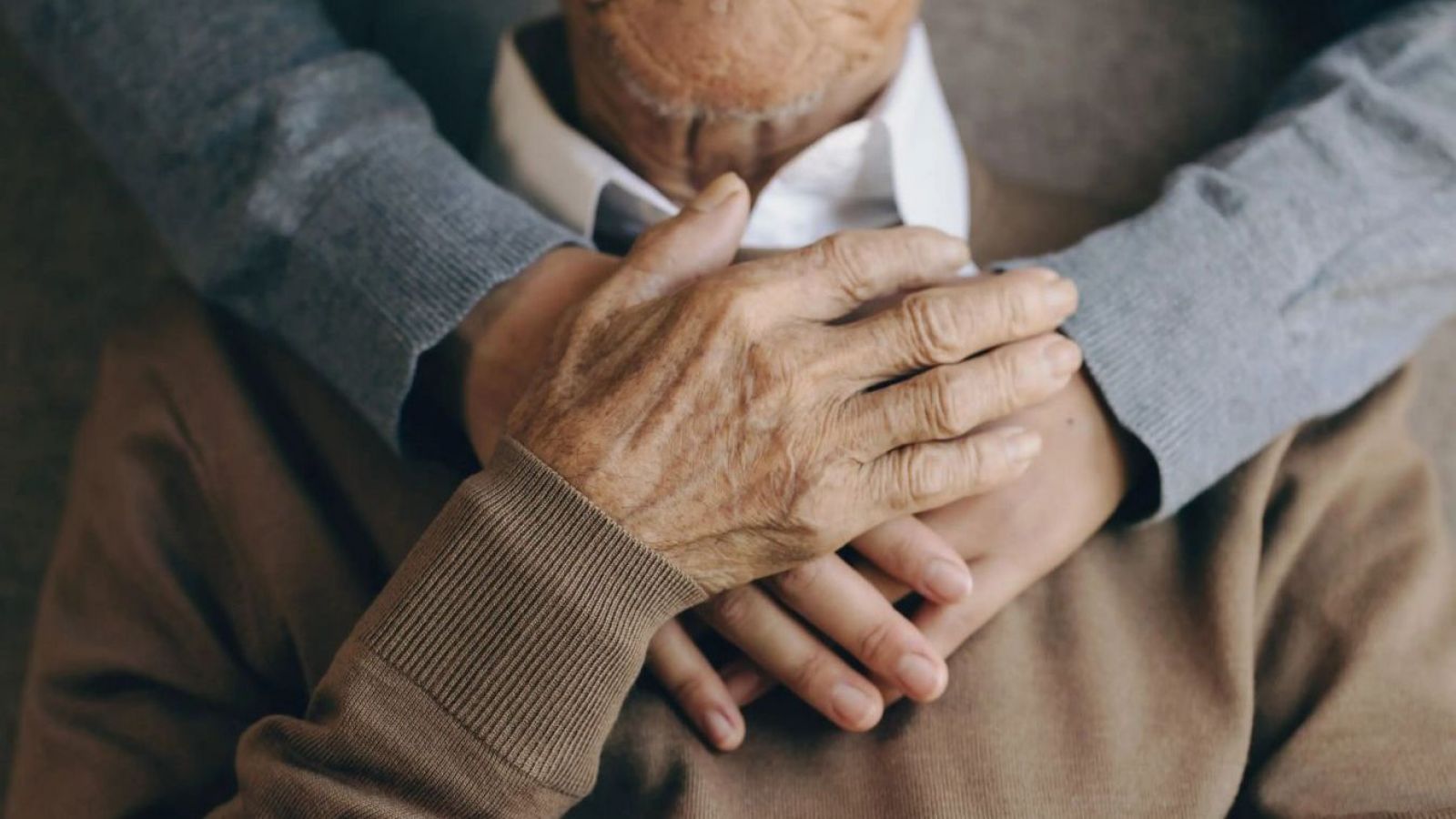 <p>Día de los Abuelos: expertos destacan el nuevo rol de las personas mayores en la sociedad</p>
