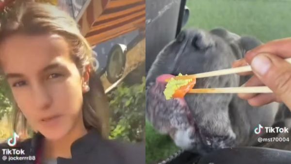 "Influencer" Josefa Sáez toma drástica decisión tras funa por dar wasabi a su perro
