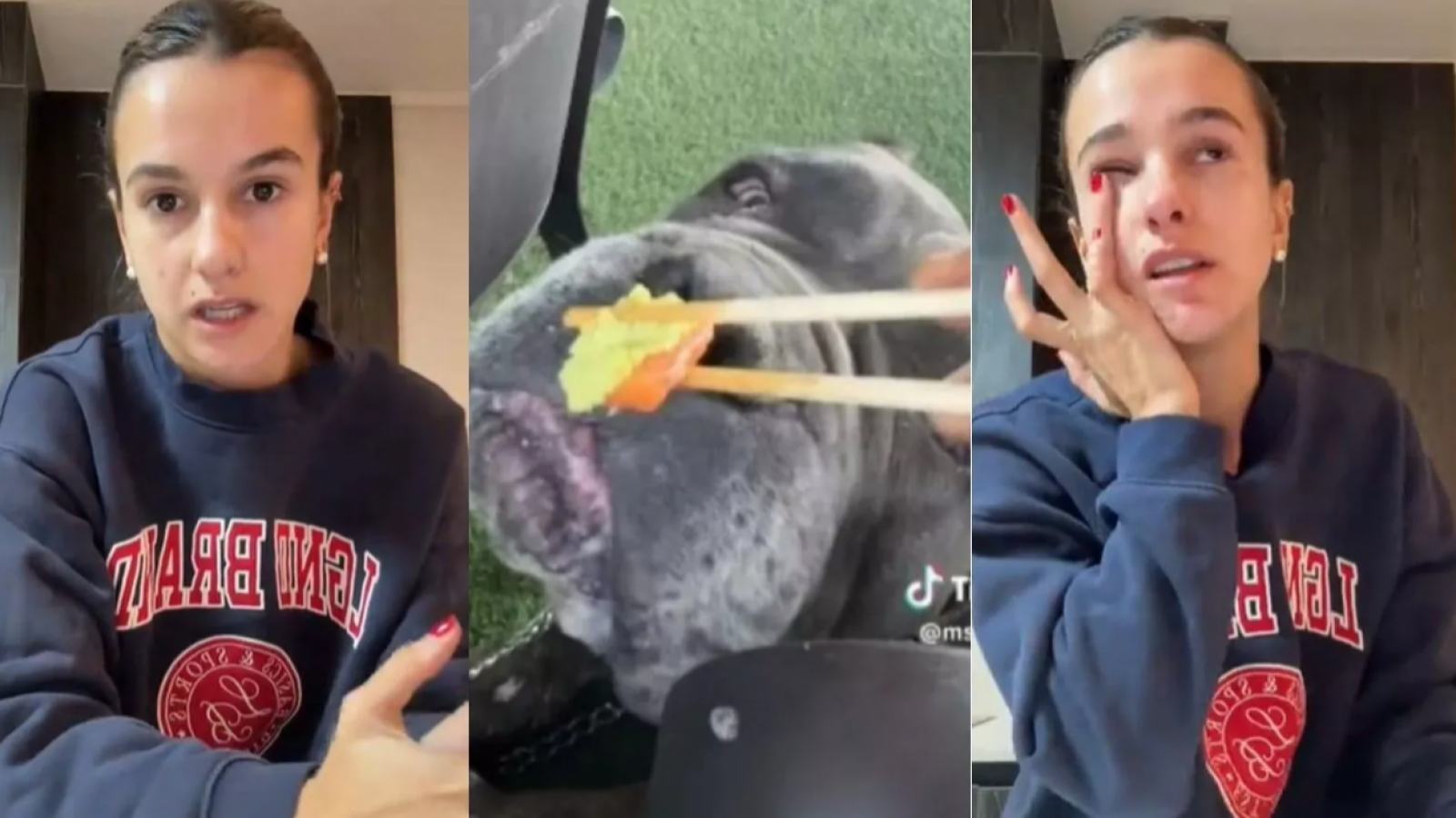 Además del wasabi: Veterinario alerta de otra preocupante situación que sufre el perro de Josefa Sáez
